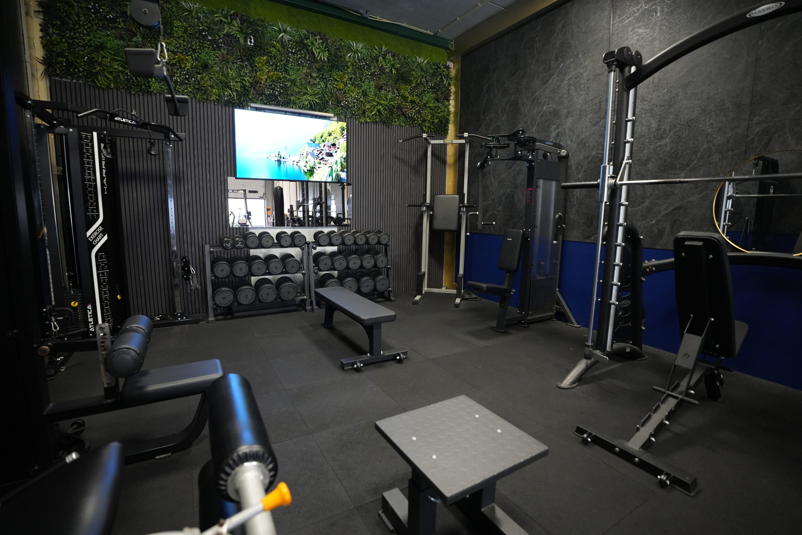 Personal training met professionele gym toestellen bij Harbor Athletics.